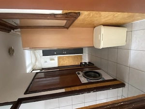 Calea Șagului-Turist, apartament 1 camera, spațios, parter, chirie 250 euro - imagine 2