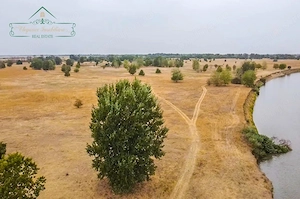 Teren extravilan 118 ha(pășune) cu deschidere la râul Mureș, Loc.Secusigiu, Arad - imagine 2