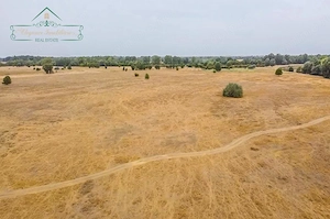 Teren extravilan 118 ha(pășune) cu deschidere la râul Mureș, Loc.Secusigiu, Arad - imagine 5
