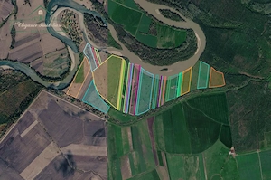 Teren extravilan 118 ha(pășune) cu deschidere la râul Mureș, Loc.Secusigiu, Arad - imagine 3