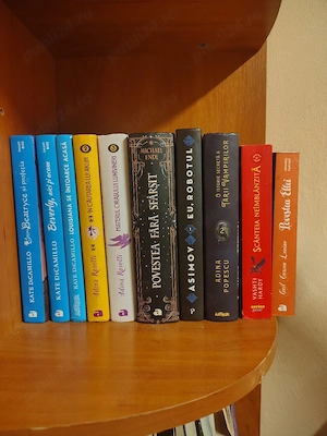 Lot 10 cărți copii, tineret și SF   Stare excelentă (Editura Arthur   Paladin)