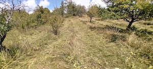 Urgent Ofertă  12000mp - imagine 2