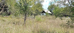 Urgent Ofertă  12000mp - imagine 3