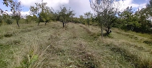Urgent Ofertă  12000mp