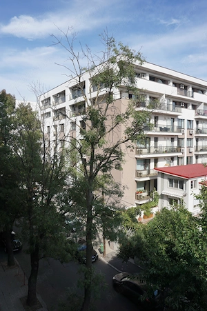 Garsonieră de închiriat, 36m , zona Aviației - imagine 6