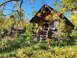 Cabană de vânzare, Poienița Voinii, Hunedoara