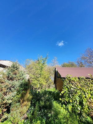 Cabană de vânzare, Poienița Voinii, Hunedoara - imagine 4