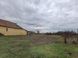 Teren intravilan de vânzare 1,241mp Frumuseni, Arad - imagine 2