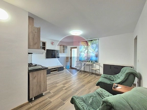 Apartament nou cu 2 camere de inchiriat în Bujac - imagine 4