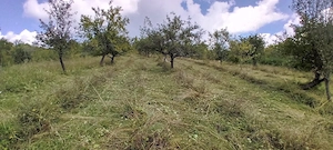 Urgent Ofertă  12000mp - imagine 7
