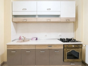 Apartament spatios de închiriat cu 3 camere - zona Iosefin / Piata Iuliu Maniu - imagine 7