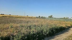 Teren Intravilan 500 mp Livada de Bihor   Zonă rezidențială nouă cu potențial geotermal
