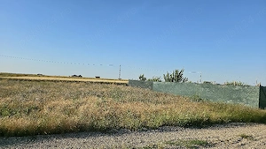 Teren Intravilan 500 mp Livada de Bihor   Zonă rezidențială nouă cu potențial geotermal - imagine 2