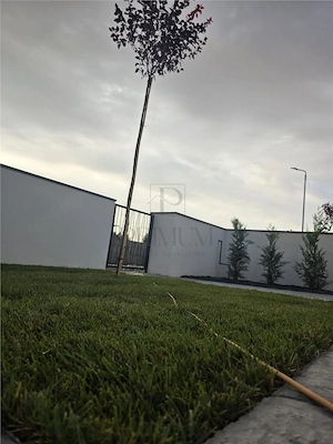 Duplex pe parter - 2 dormitoare - 2 bai - zona in dezvoltare - imagine 5