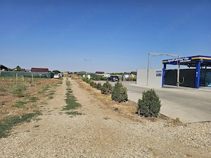 vand teren in Mogosesti Adunatii Copaceni Giurgiu