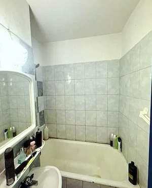 Apartament 1 camera de vanzare - imagine 4