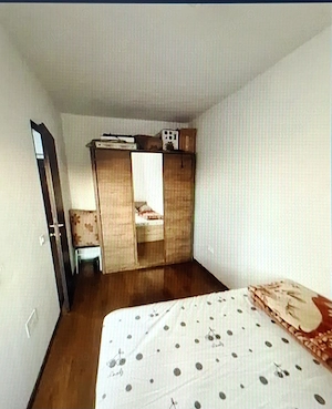 Apartament 1 camera de vanzare - imagine 2