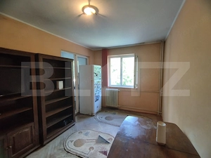 Apartament 1 camera, 20 mp, zona Cantemir