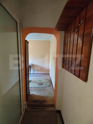 Apartament 1 camera, 20 mp, zona Cantemir - imagine 5