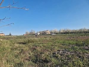  Teren Intravilan 3100 mp în Paleu, str. Verii   Dublu front stradal, PUZ aprobat cu HCL - imagine 7