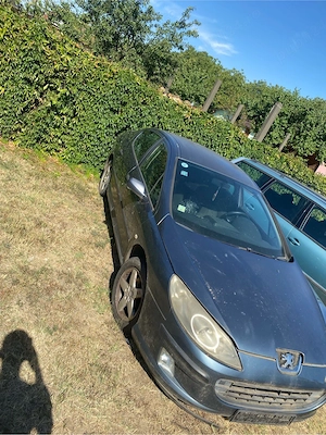 peuheou 407  - imagine 2