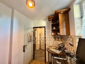 Apartament cu 2 camere de vanzare, etaj 1, Brancoveanu, Timisoara - imagine 8