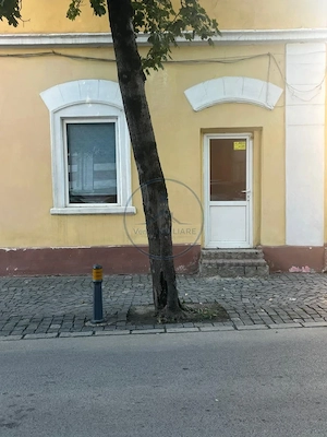 🏢 Spațiu comercial de închiriat – Str. Nicolae Titulescu - imagine 3