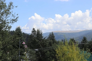 Teren Sinaia - Furnica