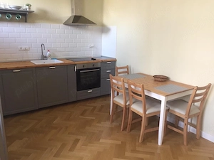 inchiriez apartamant o camera langa opera - imagine 2