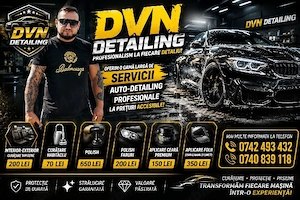 Detaling Auto Profesional
