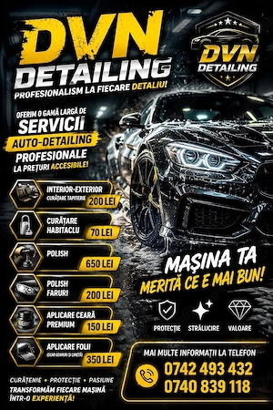 Detaling Auto Profesional - imagine 3