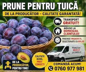 prune de țuică  2 Lei kg