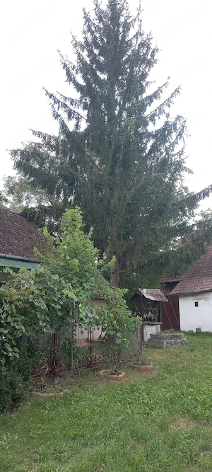 Casă de vanzare in județul Brașov. - imagine 4
