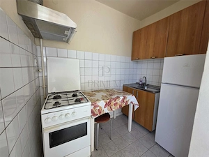Apartament 1 camera-Elisabetin - imagine 3