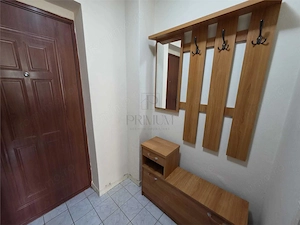Apartament 1 camera-Elisabetin