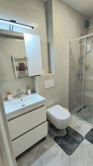 Apartament 2 camere de inchiriat Theodor Pallady - imagine 3