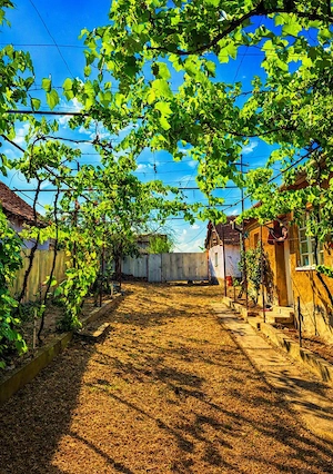 Casă + teren generos 1603 mp, poziție centrală – Ianoșda - imagine 2