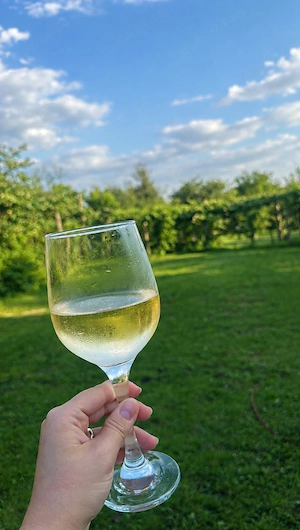 Vand Vin Alb si Rose