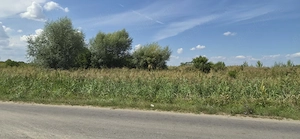 Vand teren Stefanesti, Arges, parcelabil, strada sticlelor, 18600mp - imagine 5