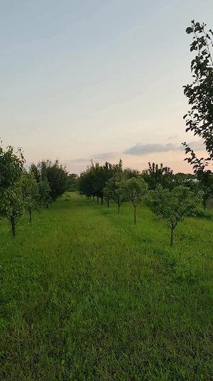 Teren de vânzare Giarmata  - imagine 4