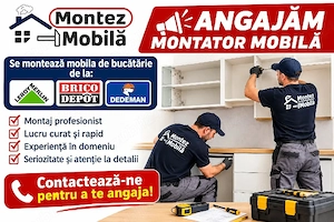 Angajam montator mobila 