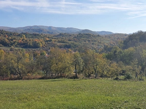 Teren Intravilan Premium 3040 mp în Românești (Tomești)  - imagine 5