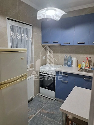 Apartament 1 camera de inchiriat, Parcare, Renovat, Lipova, Timis - imagine 6