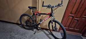 Everest - bicicletă adulți
