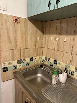 Apartament 1, Complexul Studenesc - imagine 8