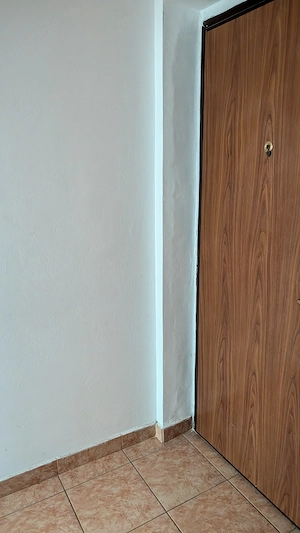 Apartament trei camere de vanzare zona B-dul cu Castani - imagine 13