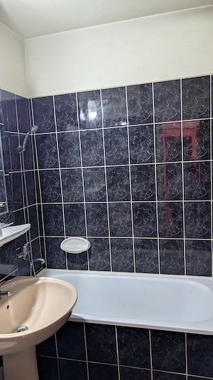 Apartament trei camere de vanzare zona B-dul cu Castani - imagine 5