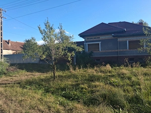 Casă de vânzare în Calbor cu 2650 mp teren  - imagine 4