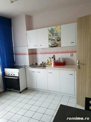 apartament cu o camera de inchiriat in zona Cetatii - imagine 2