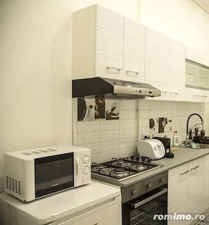 De inchiriat apartament cu 2 camere zona Medicina - Take Ionescu - imagine 4
